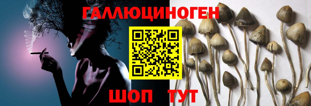 Псилоцибиновые грибы мухоморы Нижнеудинск